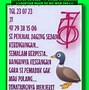 Keluaran Hk Sgp Sdy Hari Ini Live